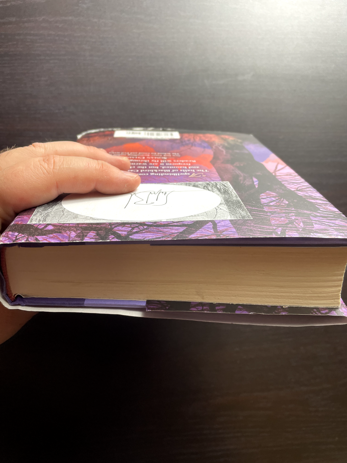 Cinders and Sparrows - Hardcover By Bachmann, Stefan