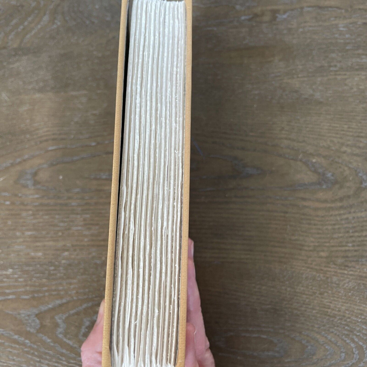 Series of Unfortunate Events #12: the Penultimate Peril