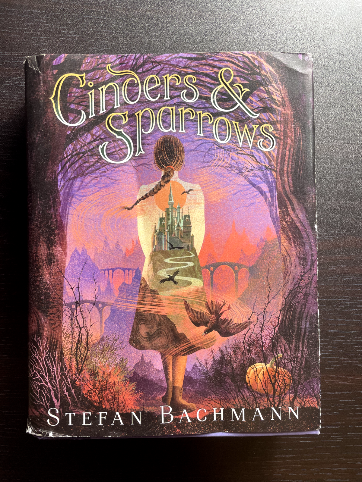 Cinders and Sparrows - Hardcover By Bachmann, Stefan