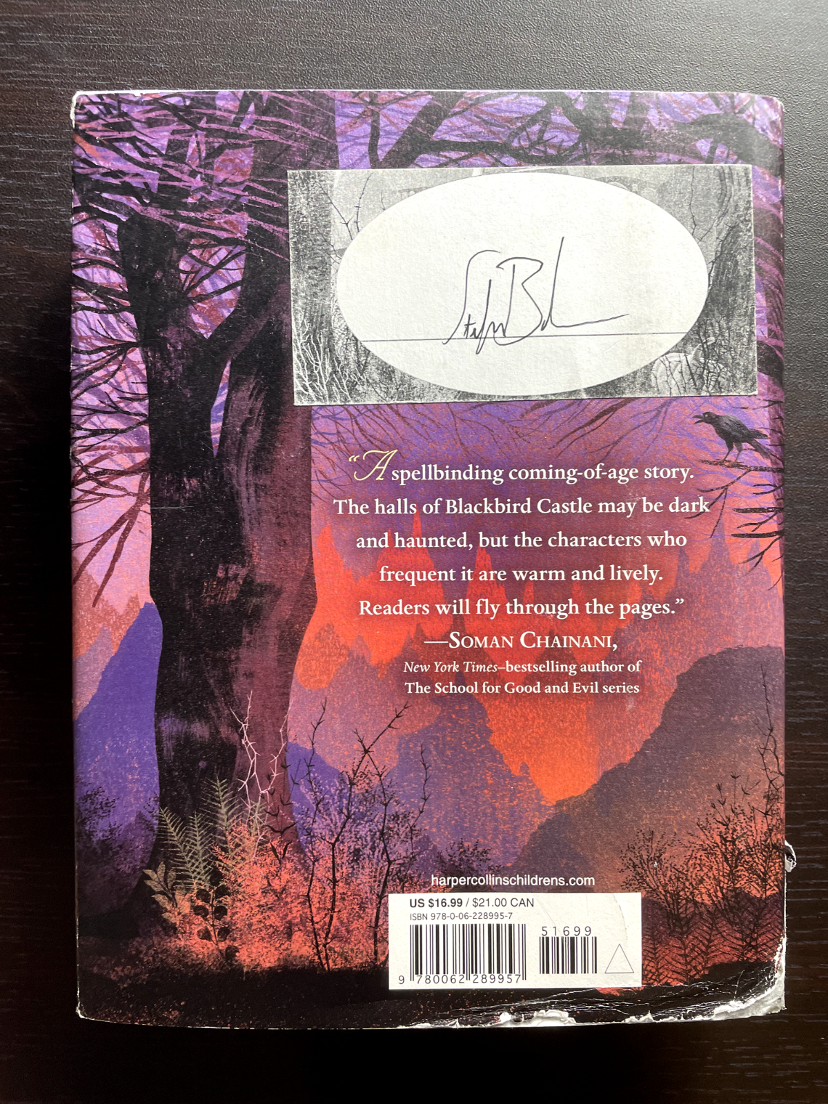 Cinders and Sparrows - Hardcover By Bachmann, Stefan