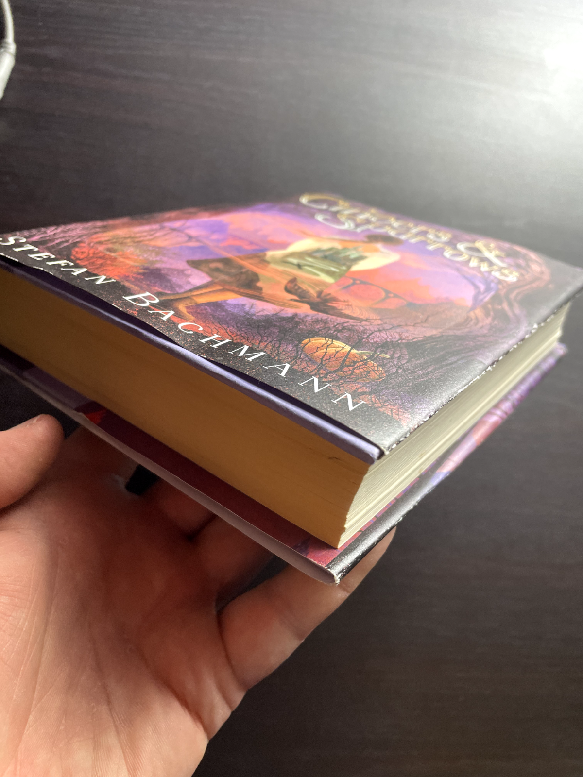 Cinders and Sparrows - Hardcover By Bachmann, Stefan