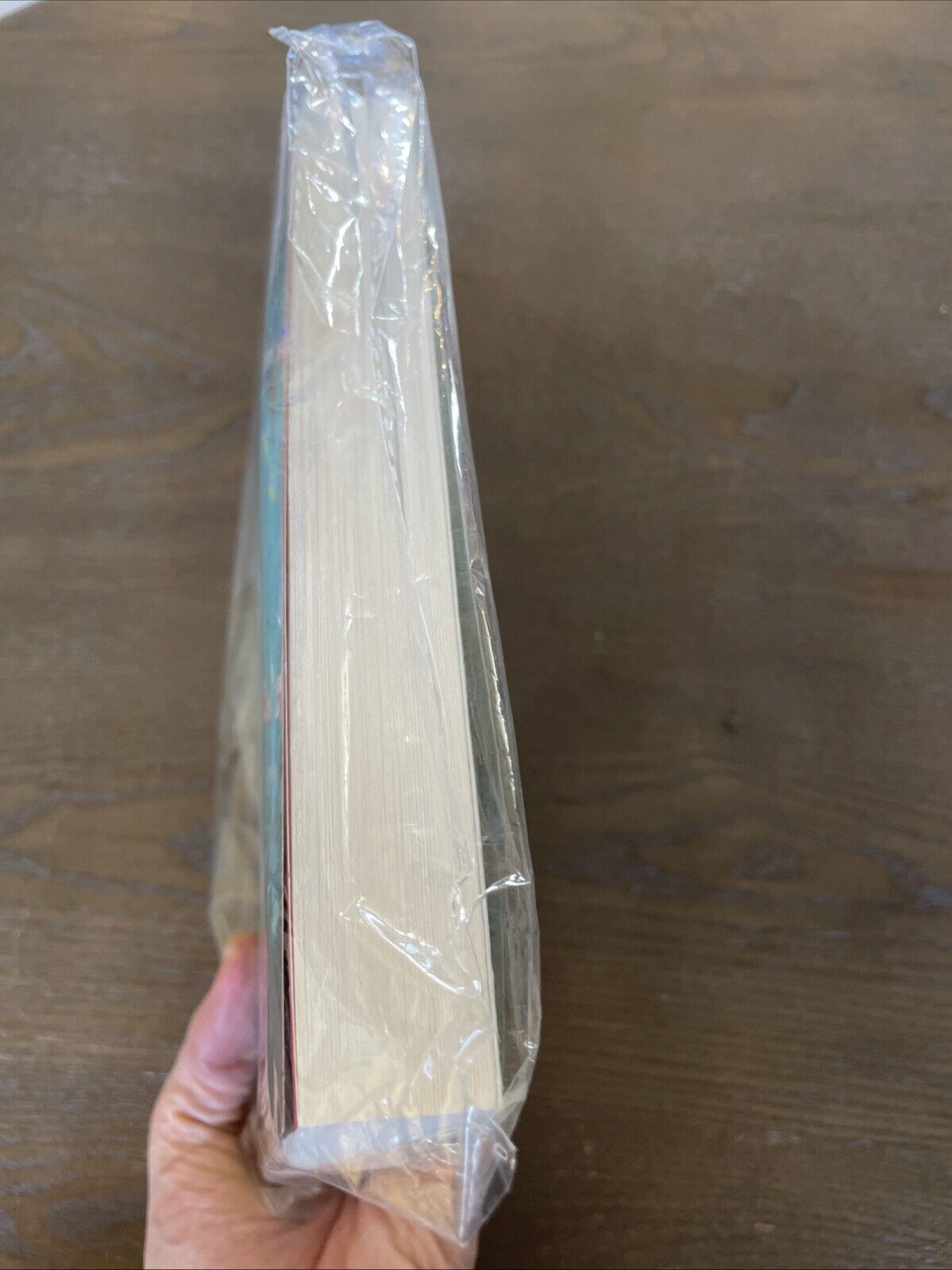 The Inheritance of Loss by Kiran Desai (PB, 2006)