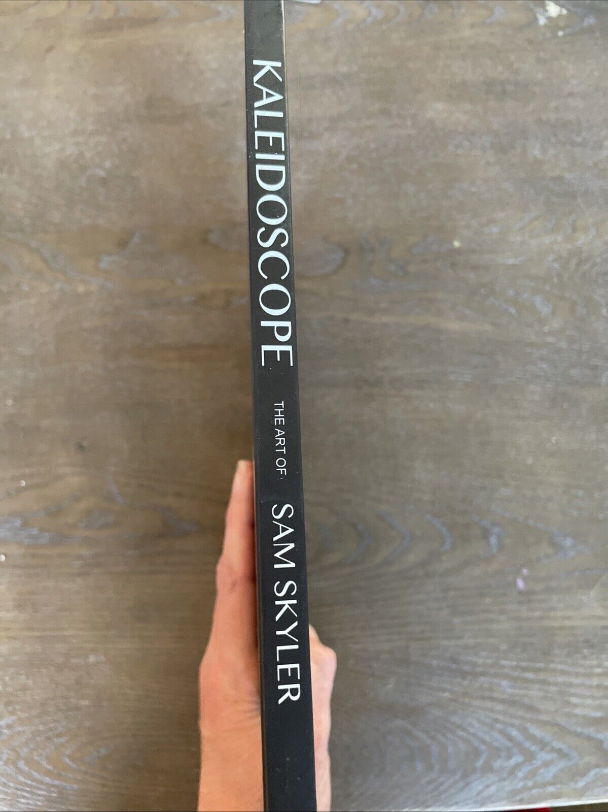 Sam Skyler Book Kaleidoscope Geek Gamer Art Book